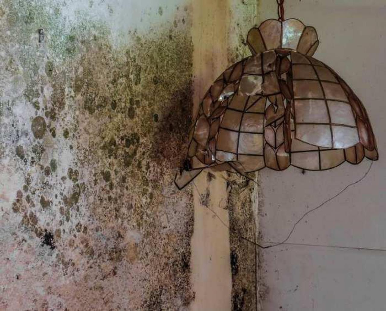 Soaked Inside - 5.jpg