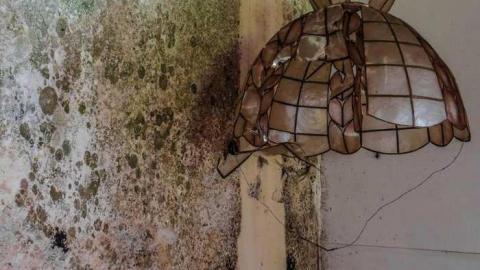 Soaked Inside - 5.jpg