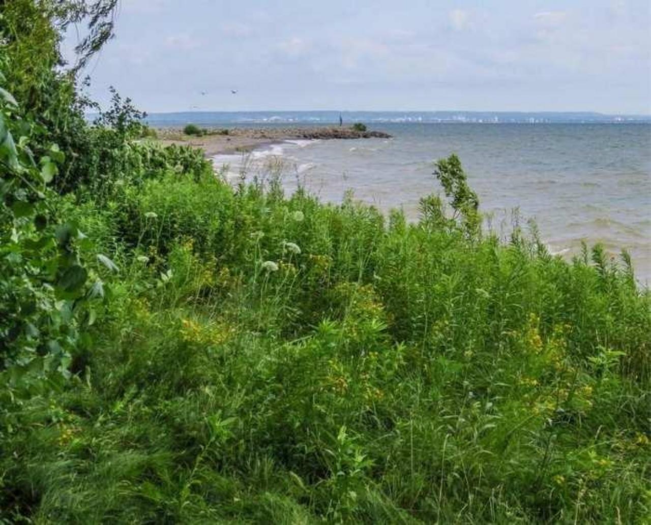 Soaked Inside - 11.jpg