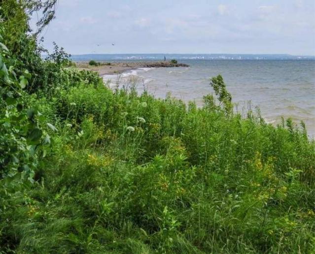 Soaked Inside - 11.jpg