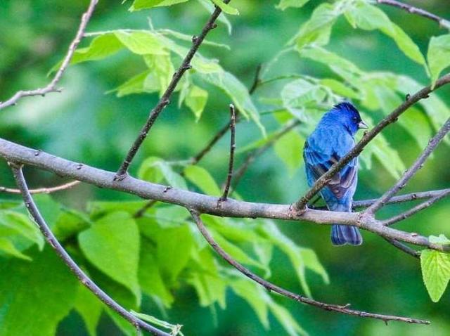 Soaked Inside - 12.jpg