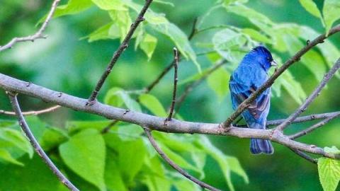 Soaked Inside - 12.jpg