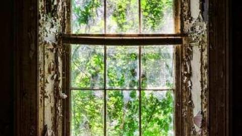 Fall 2013 - Scenic-Farm-on-Township-Rd.-336.jpg