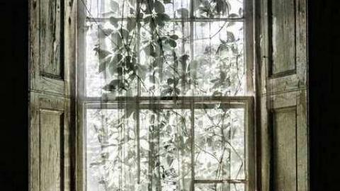 Fall 2013 - Scenic-Farm-on-Township-Rd.-339.jpg