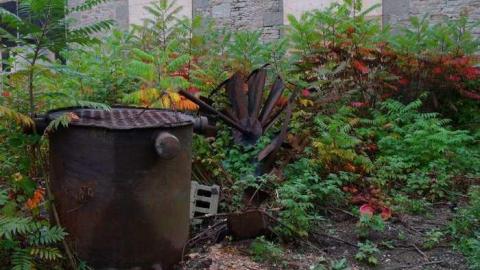 After the Demo - Barber-Paper-Mill--Georgetown570.jpg