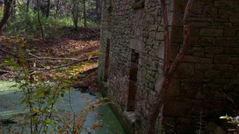 sometime in fall - Barber-Dynamo46.jpg