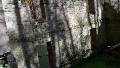 sometime in fall - Barber-Dynamo24.jpg