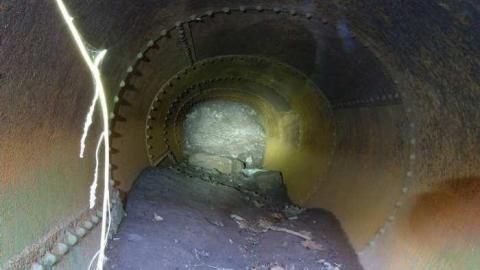 sometime in fall - Barber-Dynamo48.jpg