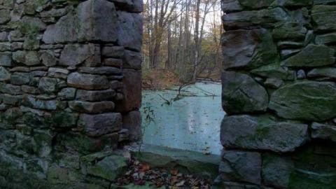 sometime in fall - Barber-Dynamo27.jpg