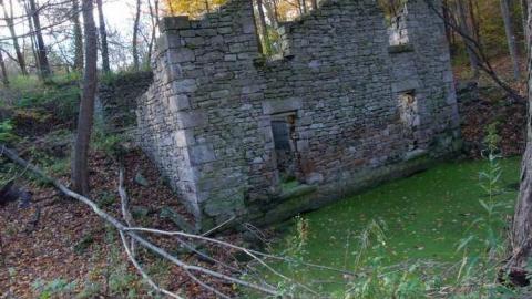 sometime in fall - Barber-Dynamo96.jpg