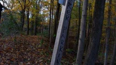 sometime in fall - Barber-Dynamo28.jpg