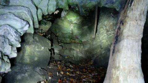 Photo from night shots