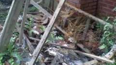 Summer 2013 - OLCO-Gas-Bar--House29.jpg