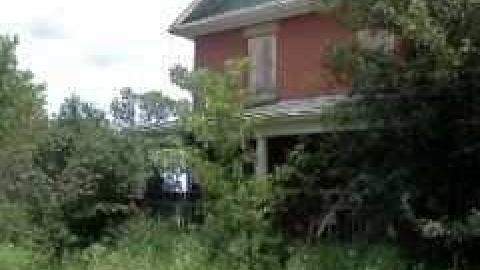 Summer 2013 - IMG639.jpg