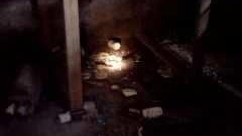 Summer 2013 - IMG643.jpg