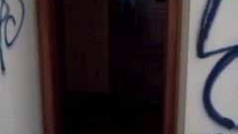 Summer 2013 visit - IMG687.jpg