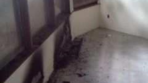 Summer 2013 visit - IMG697.jpg