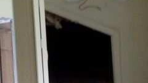 Summer 2013 visit - IMG705.jpg