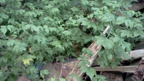 Photo from September 2013