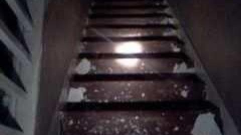 July 2013 - IMG729.jpg