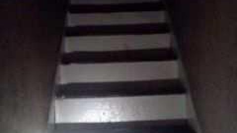 July 2013 - IMG730.jpg