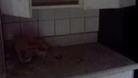 July 2013 - IMG732.jpg