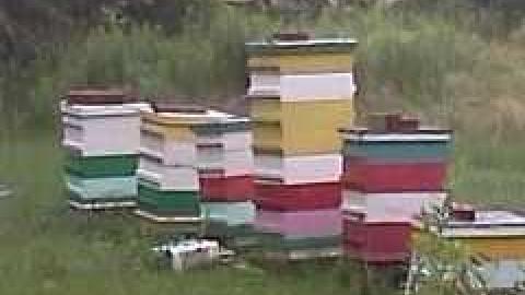 July 2013 - IMG734.jpg