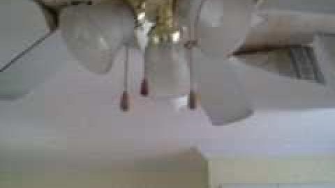 May 2013 - IMG802.jpg