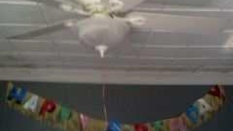 May 2013 - IMG806.jpg