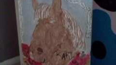 May 2013 - IMG810.jpg