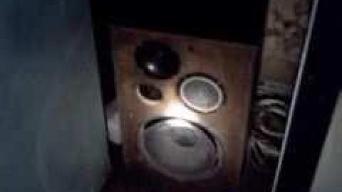 May 2013 - IMG819.jpg