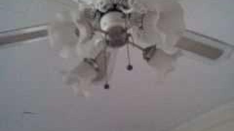 Photo from September 2013 (Before demo)