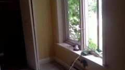 September 2013 (Before demo) - Eldorado-Park-Home66.jpg