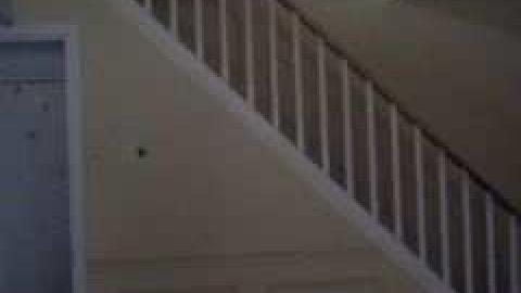 September 2013 (Before demo) - Damned-Developers75.jpg