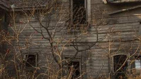 Beautiful Decay - guyitt_03.jpg