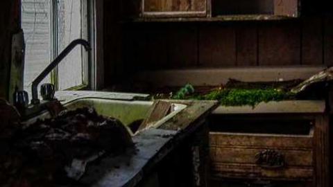 Inside and out - DSCF5716.jpg