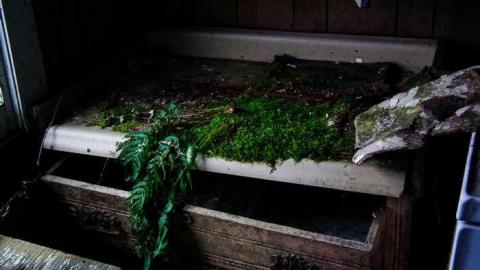 Inside and out - DSCF5717.jpg