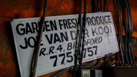 Inside and out - DSCF5721.jpg