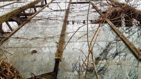 Inside and out - DSCF5728.jpg