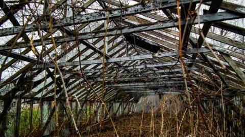 Inside and out - DSCF5730.jpg