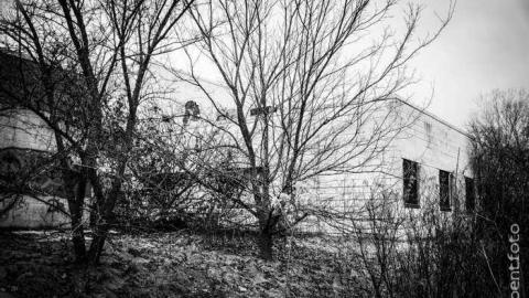 Dec 2013 - North-America-Construction13.jpg