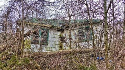 It still stands cover photo