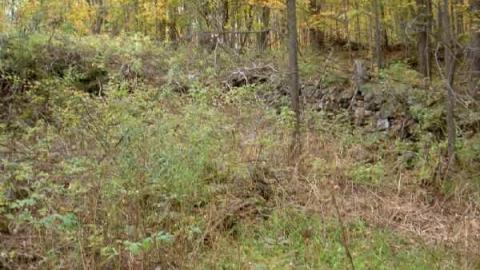 Unfathomable Umfraville - Umfraville-(ghost-town)34.jpg