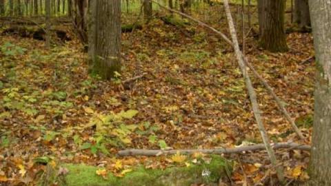 Unfathomable Umfraville - Umfraville-(ghost-town)35.jpg