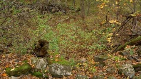 Unfathomable Umfraville - Umfraville-(ghost-town)37.jpg