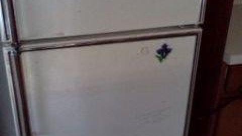 Photo from July 2013