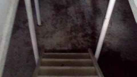 Photo from July 2013