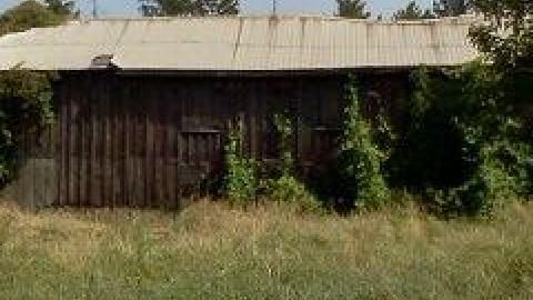 July 2013 - IMG797.jpg