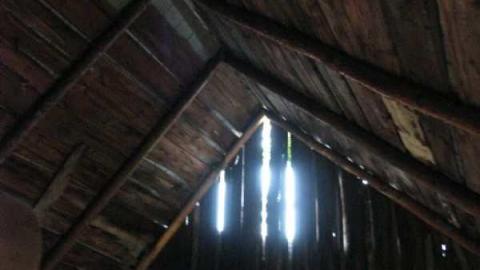 March rd. Farm - Farm-March-rd.-Kanata3.jpg