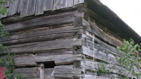 March rd. Farm - Farm-March-rd.-Kanata4.jpg